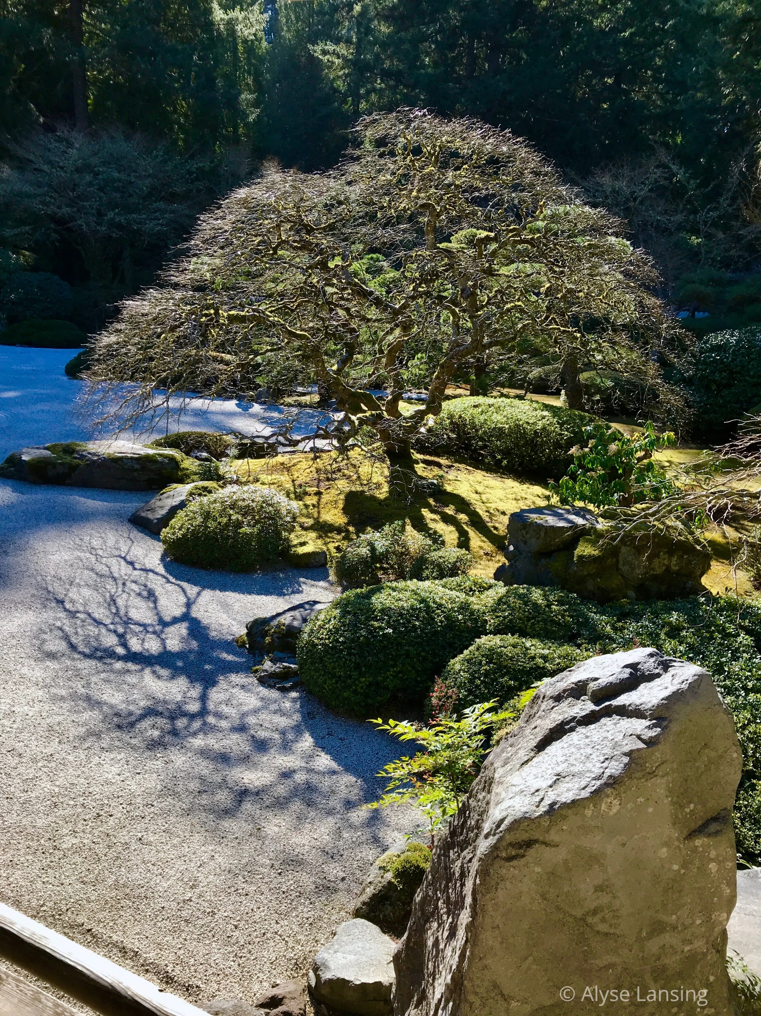 Quick Trip, Japanese Garden — Alyse Lansing - Landscape Design